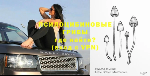 альфа пвп Бугульма