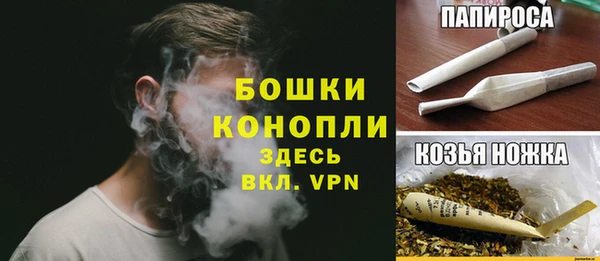 дживик Бронницы