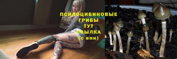 марки nbome Бородино