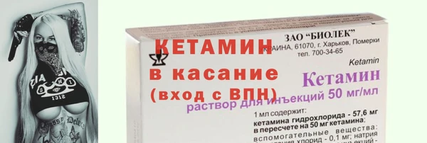 дживик Бронницы