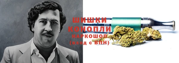 дживик Бронницы